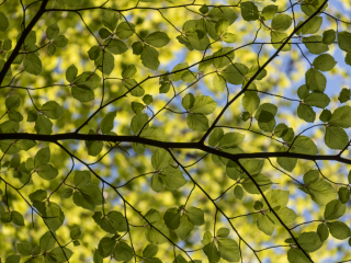 Be Change - en digital utbildning för minskat klimatavtryck