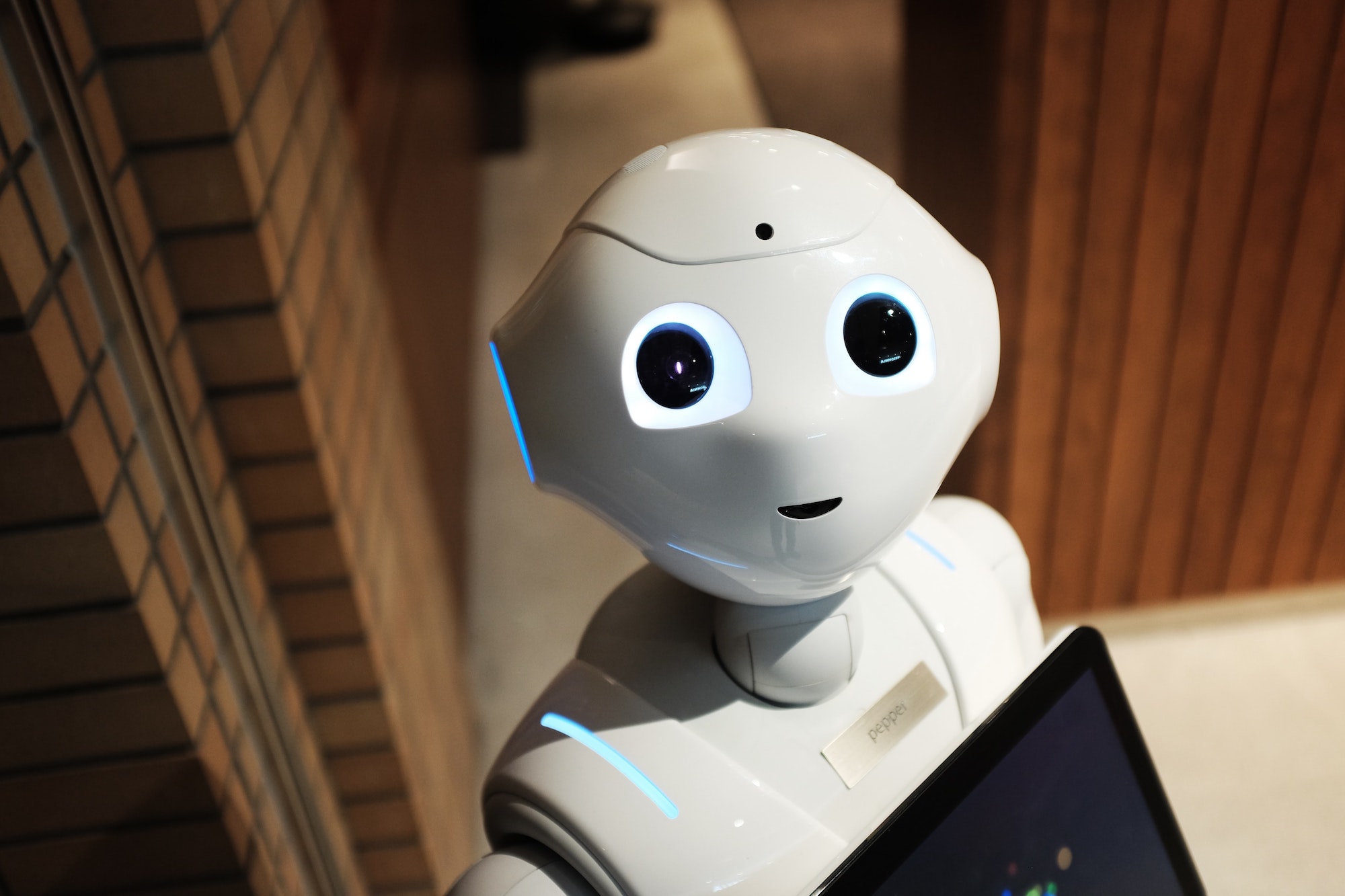 edtech robot