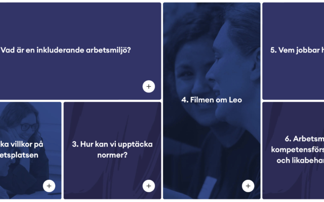 Webbutbildning inkluderande arbetsmiljö statlig sektor