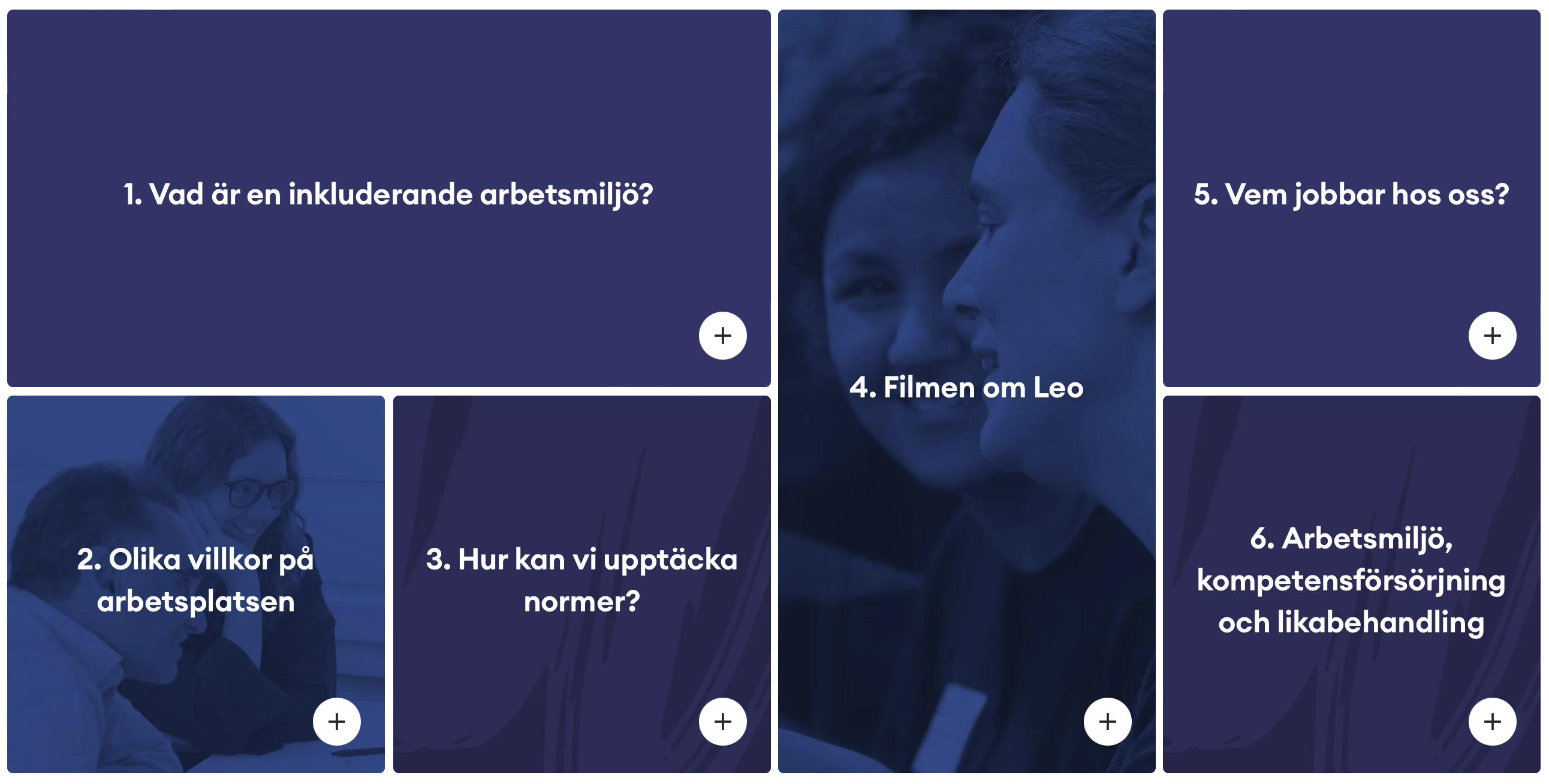 Webbutbildning inkluderande arbetsmiljö statlig sektor